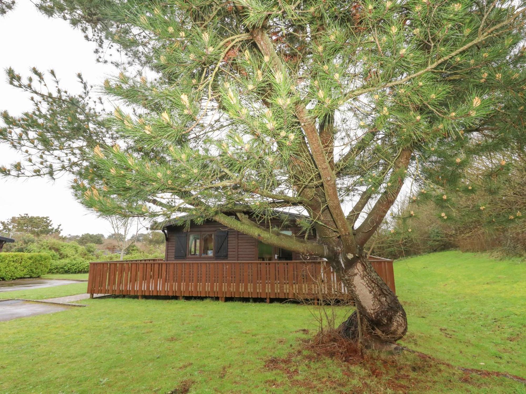 16 Amber Wood Lodge Lymington Zewnętrze zdjęcie
