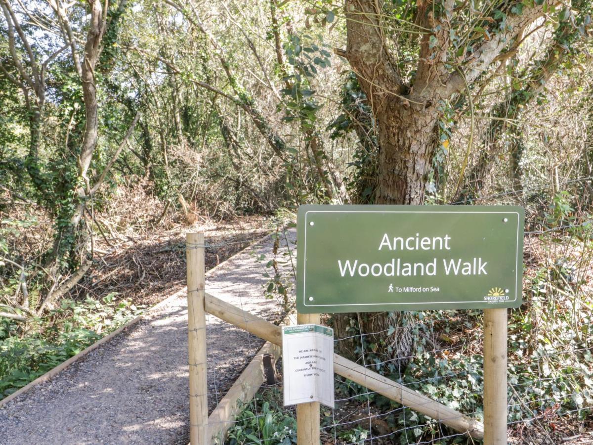 16 Amber Wood Lodge Lymington Zewnętrze zdjęcie